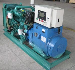 平利发电机出租